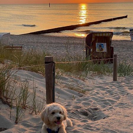 Residenz Lausitz - Apartments Fuer Urlaub Mit Hund Graal-Mueritz Eksteriør billede